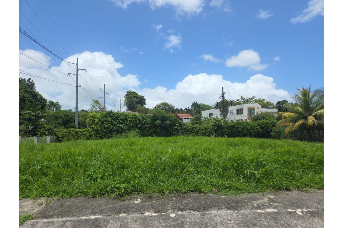 Monacillos, Puerto Rico