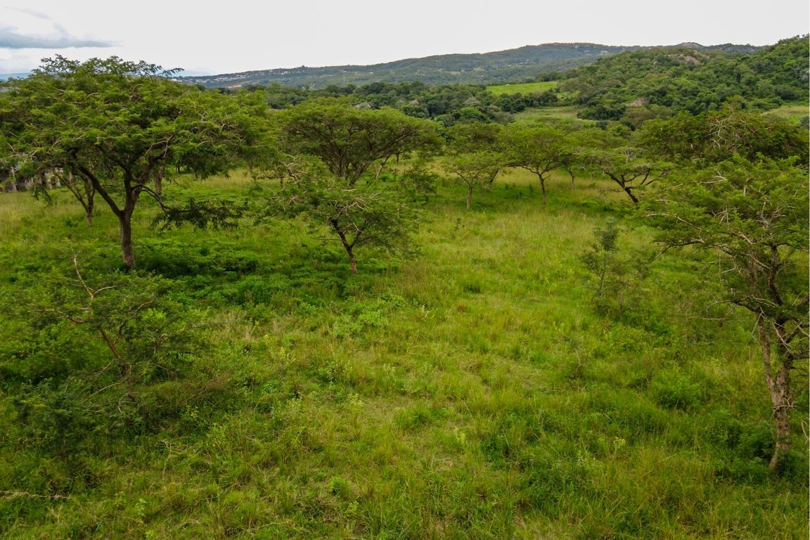 White River White River, Mpumalanga