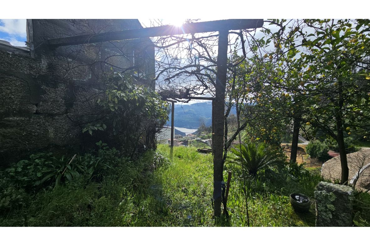 Gove/Baiao Oporto