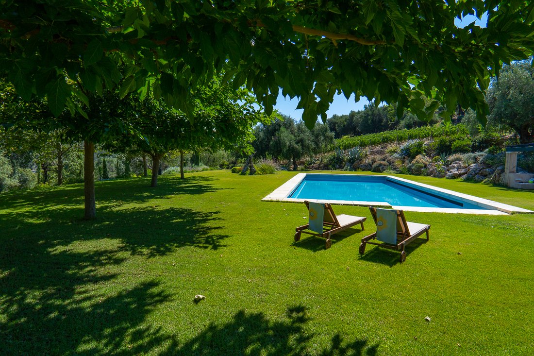 Country Estate With Vineyard Comprising 1,200 Merlot And 1,200 Chardonnay Vines