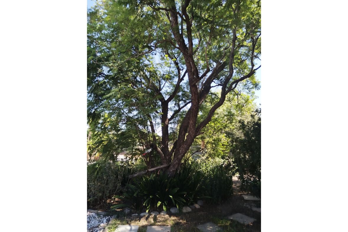 Bergzicht, South Africa
