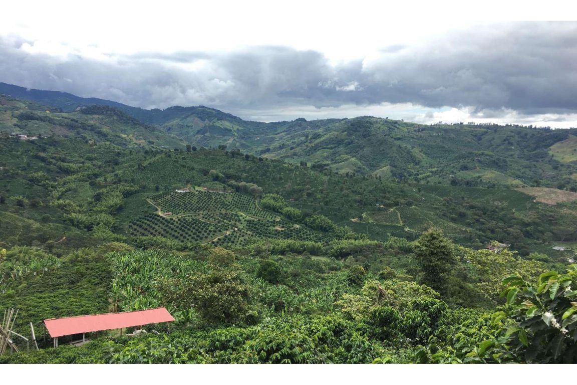 Caicedonia, Colombia