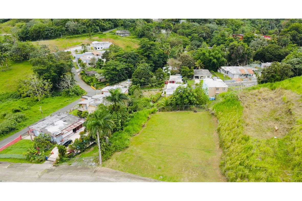 Collores Ward, Puerto Rico