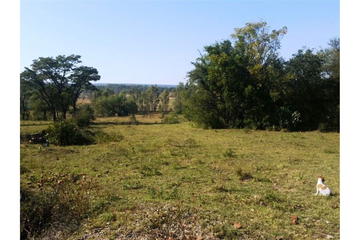 Cullinan Leeuwkloof, Gauteng