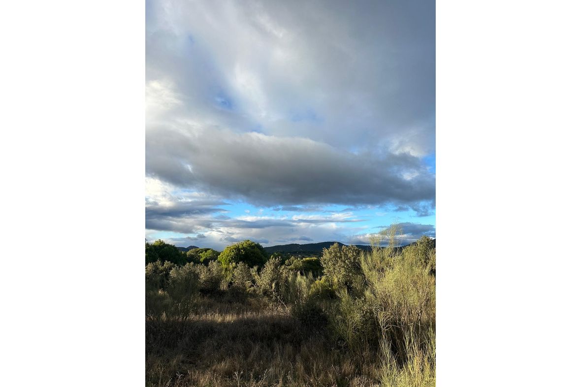 Navas del Rey, Spain
