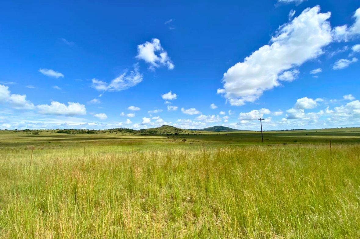 Dundee/Dundee/KwaZulu Natal