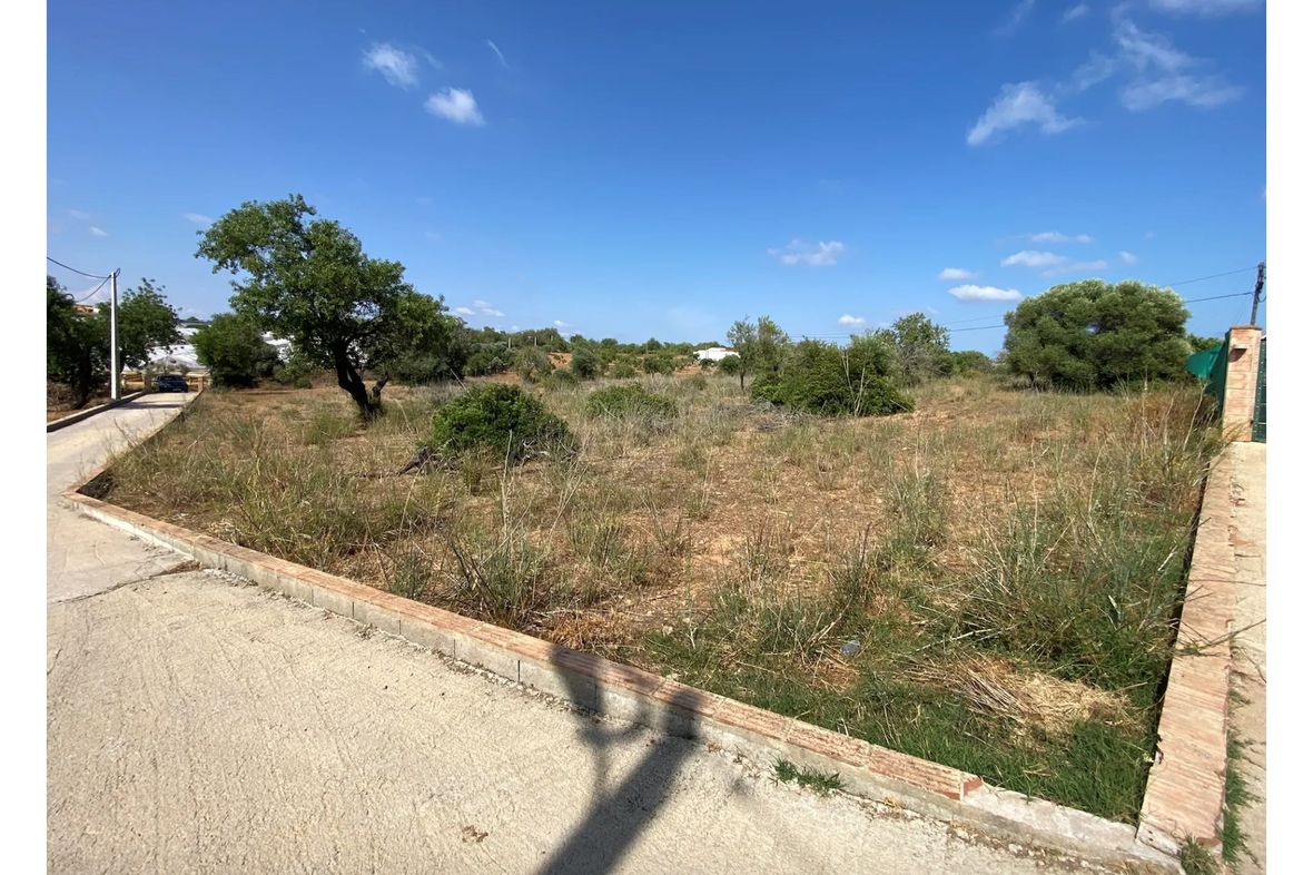 Pechao Olhão/Faro