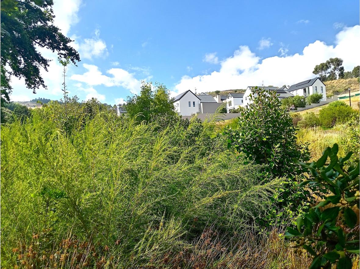 Stellenbosch/La Roche/Western Cape