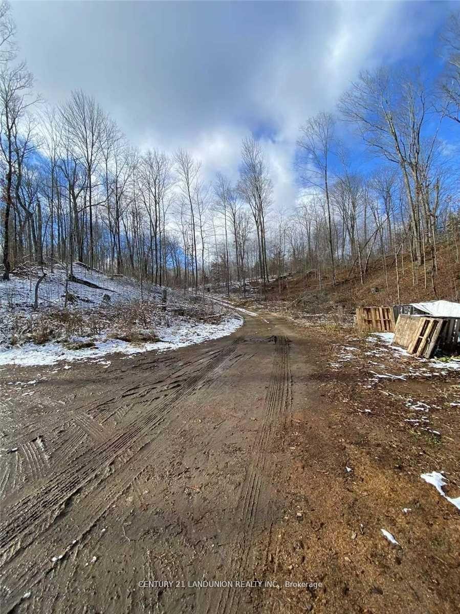 1091 Crystal Lake Road Rd, Trent Lakes