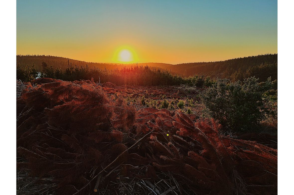 Pichilemu, Chile