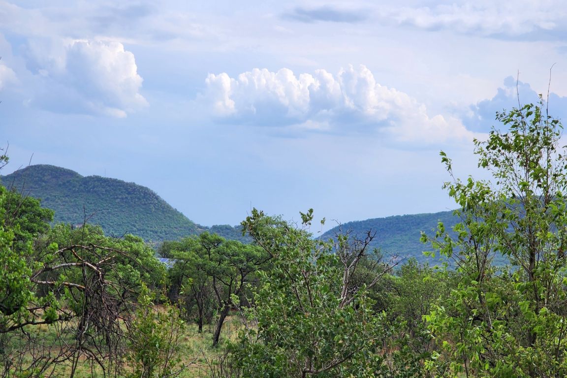 Bela Bela Zwartkloof Private Game Reserve, Limpopo