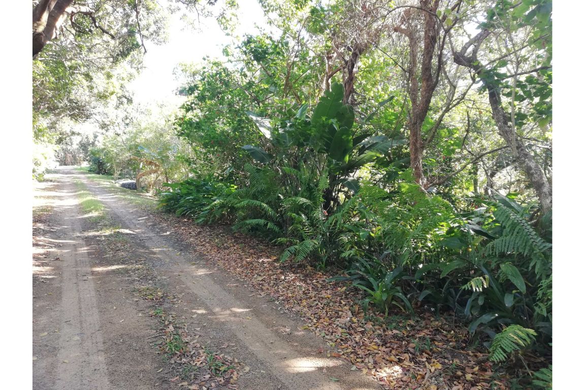 176 De La Rey Road, Port Edward Palm Beach, KwaZulu Natal
