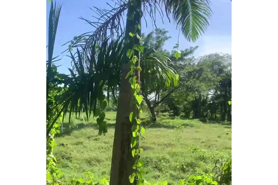 SÁNCHEZ, Dominican Republic