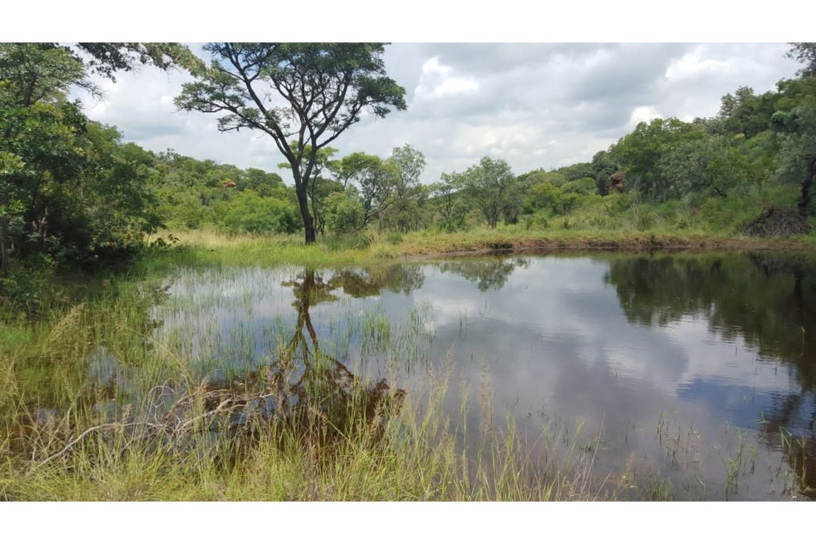 Cullinan Doornkraal, Gauteng