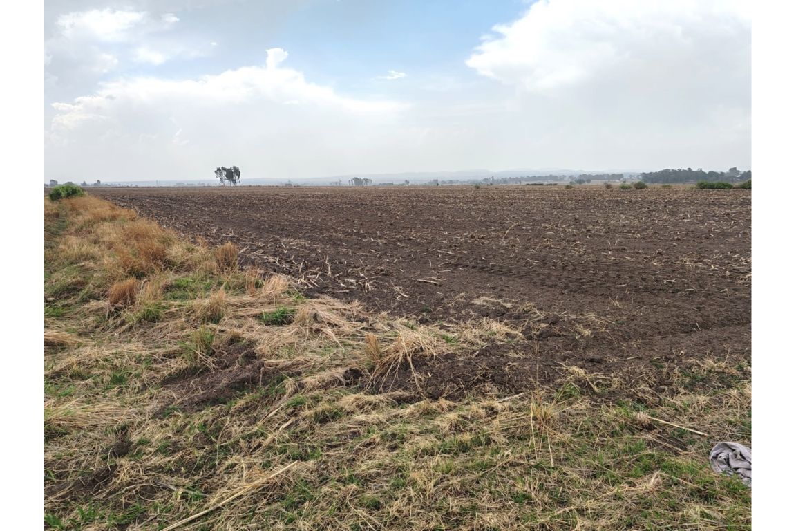 Meyerton Chrissiefontein, Gauteng