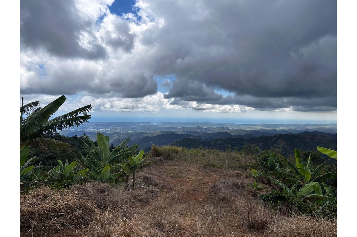 Yauco/Puerto Rico