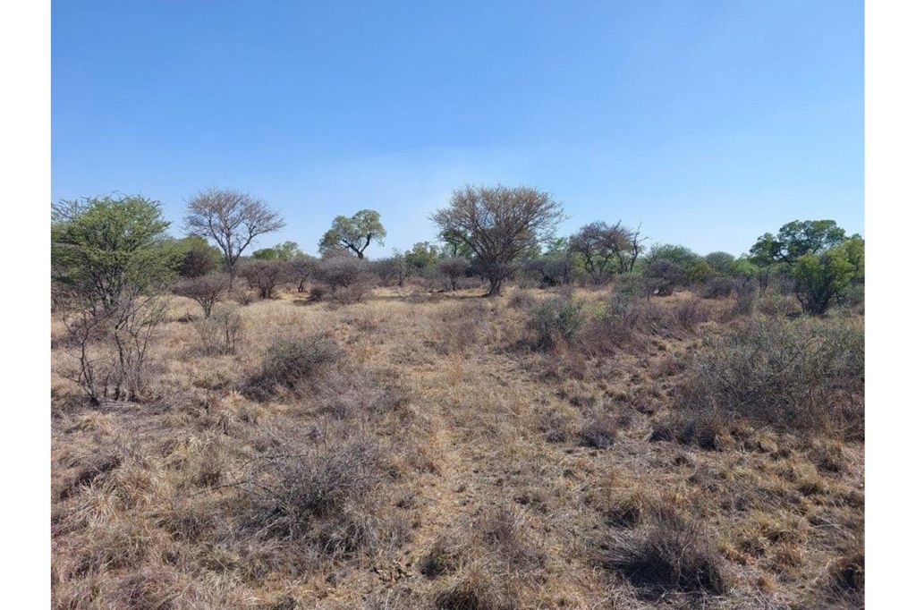 Thabazimbi Ditholo Wildlife Estate, Limpopo