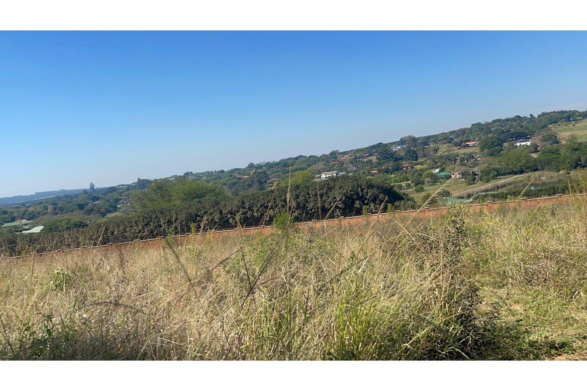 Sheffield Ridge, South Africa
