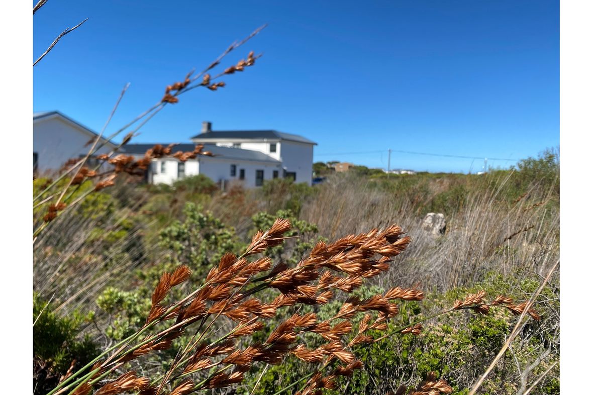 Bettys Bay, South Africa