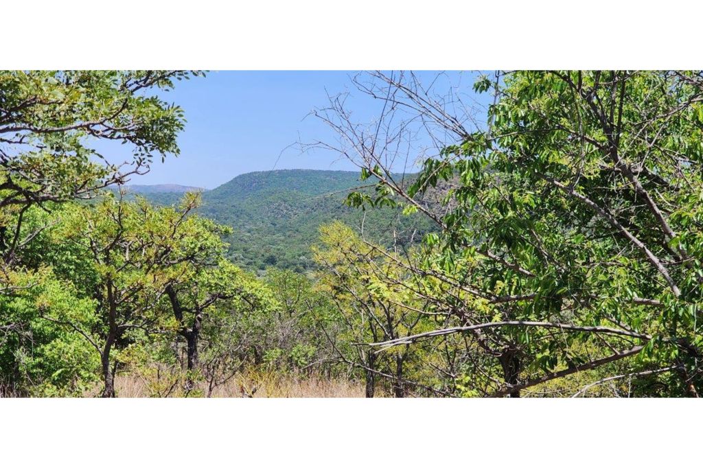 Bela Bela Intaba-Indle Wilderness Estate, Limpopo