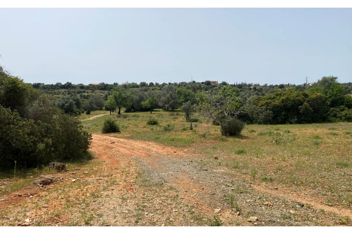 Pechao Olhão/Faro