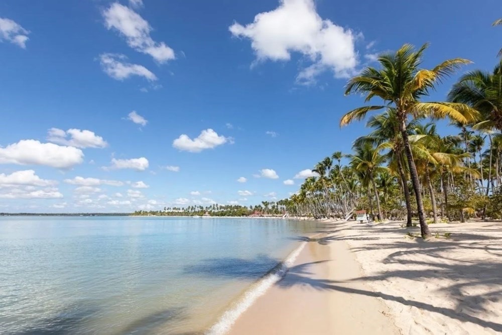 Exclusive Lots in Dominican Republic near the Beach. Invest in a Caribbean Paradise with Assured Capital Gains
