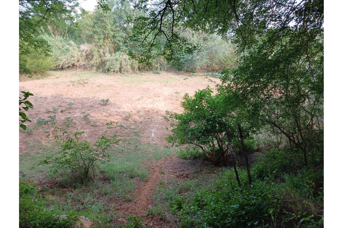 Hoedspruit Elephant Rock Eco Estate, Limpopo