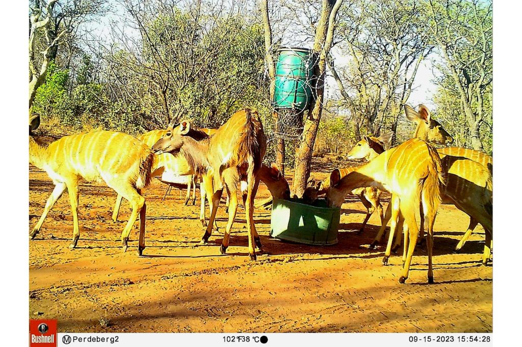 Modimolle Modimolle Rural, Limpopo