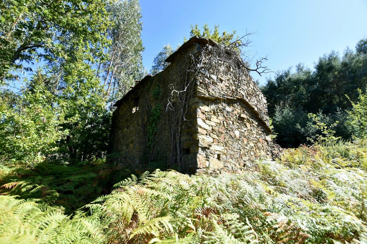 Castanheira de Pêra e Coentral/Castanheira de Pera Leiria
