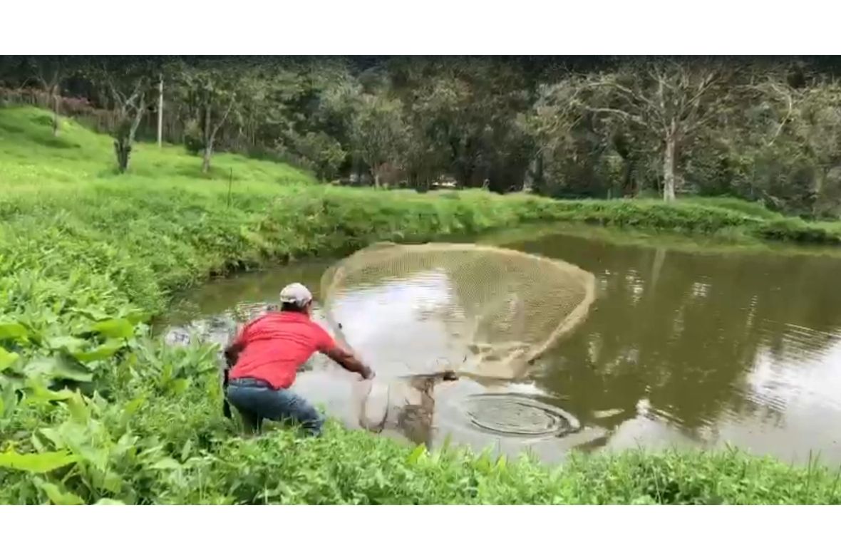 Guaduas, Colombia