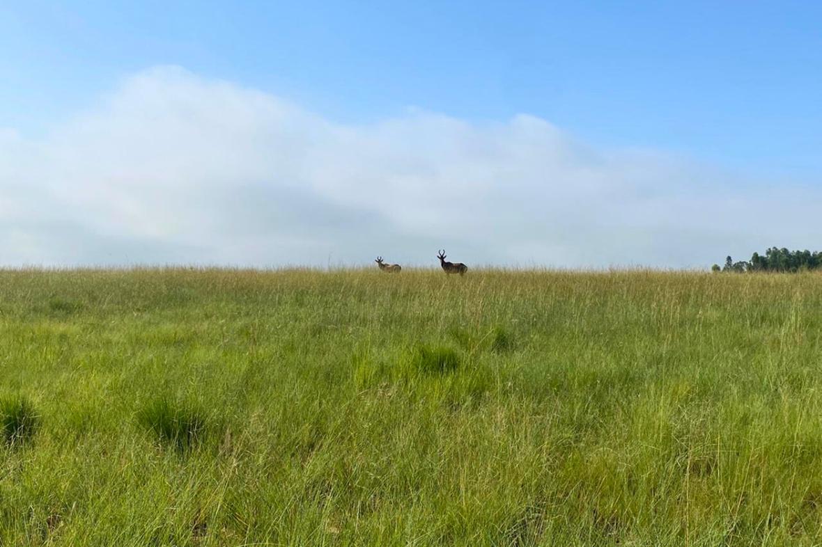 Vryheid/Vryheid Rural/KwaZulu Natal