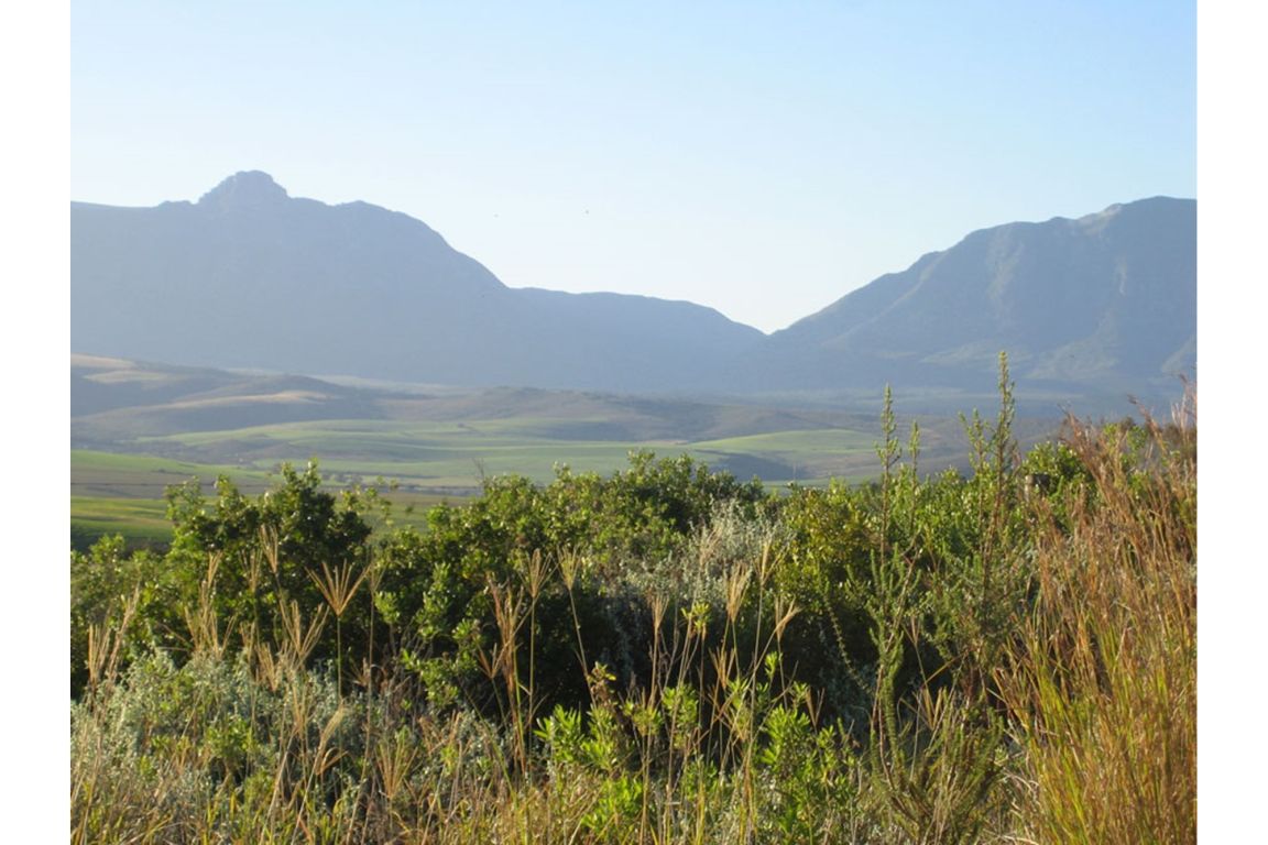 Heidelberg Wc Blombos, Western Cape