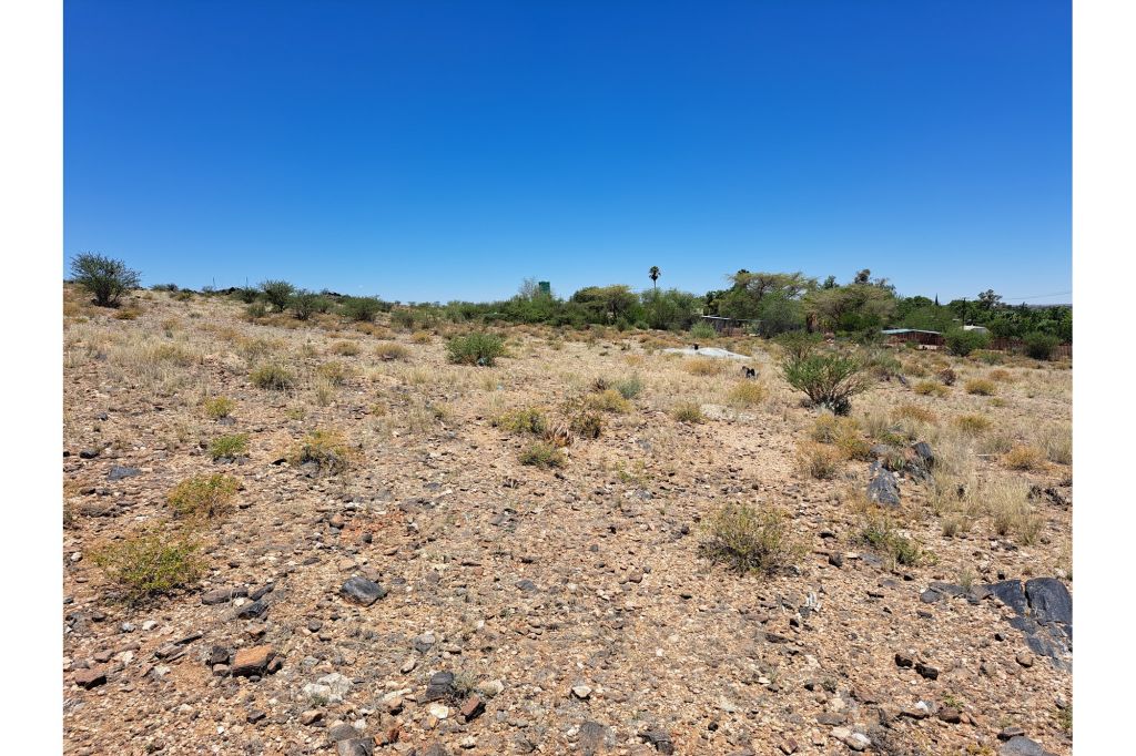 Upington Olyfvenhoudtsdrift, Northern Cape