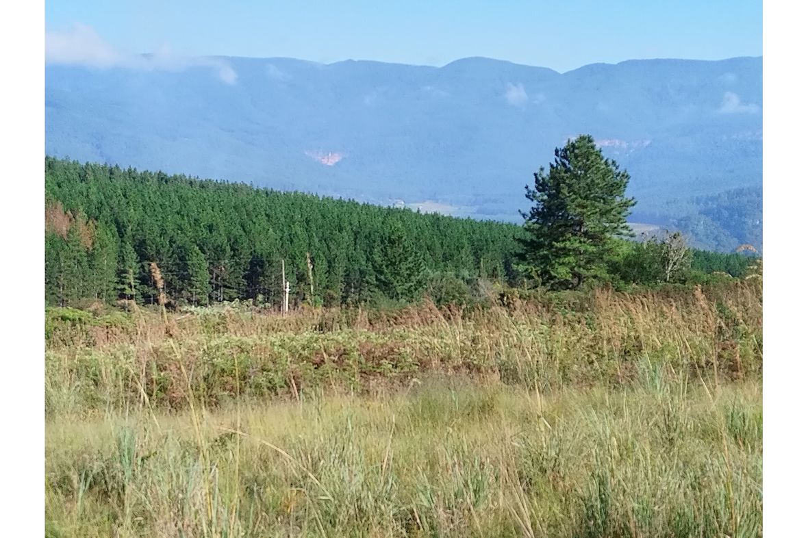 Sabie Ext 9, South Africa