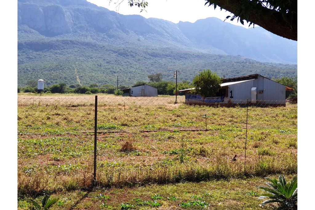 Louis Trichardt Ha-Mashau, Limpopo