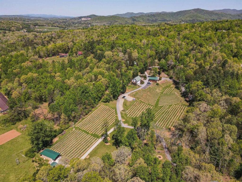 Paradise Hills Winery Resort & Spa