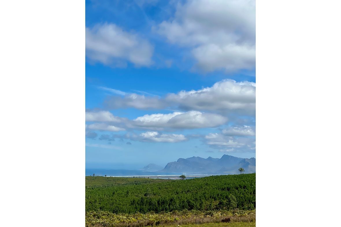 Hemel en Aarde Valley, South Africa