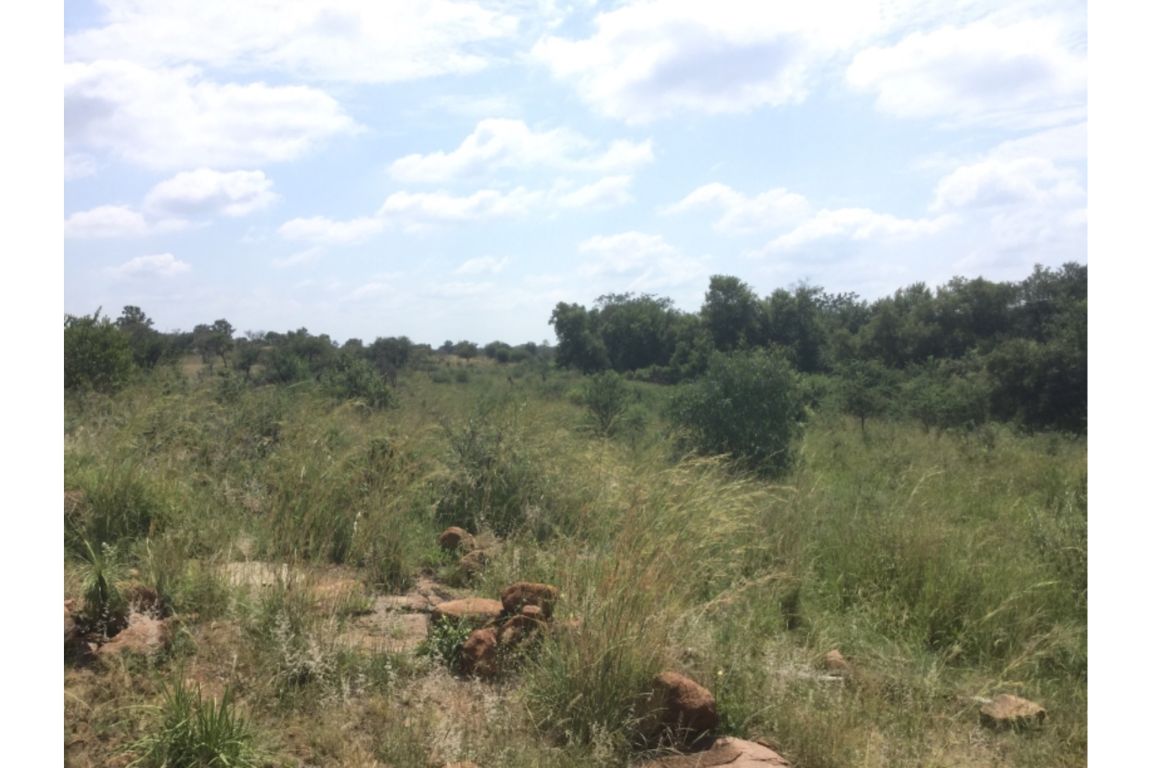 Wonderboom Dinokeng Game Reserve, Gauteng