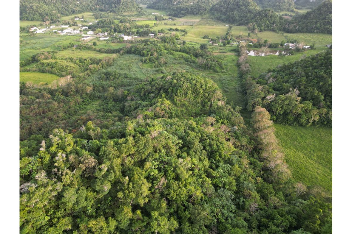 Sabana Hoyos II, Puerto Rico
