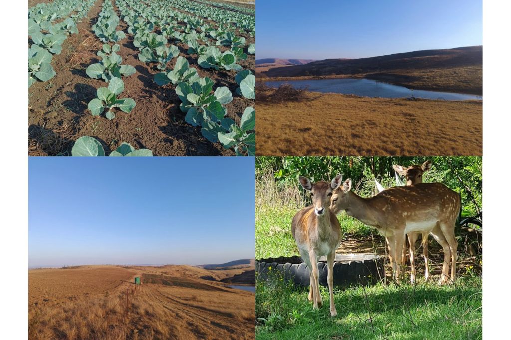 Ladysmith Van Reenen, KwaZulu Natal