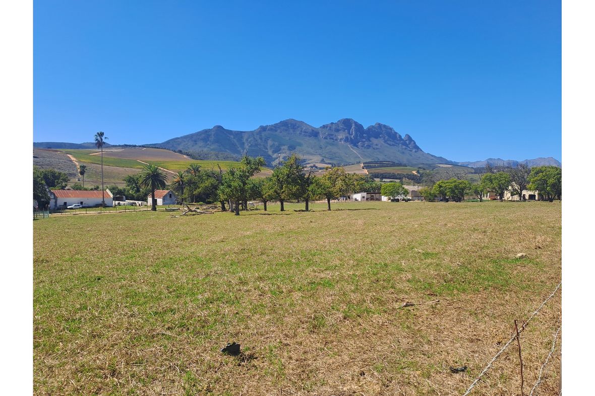 Stellenbosch Farms, South Africa