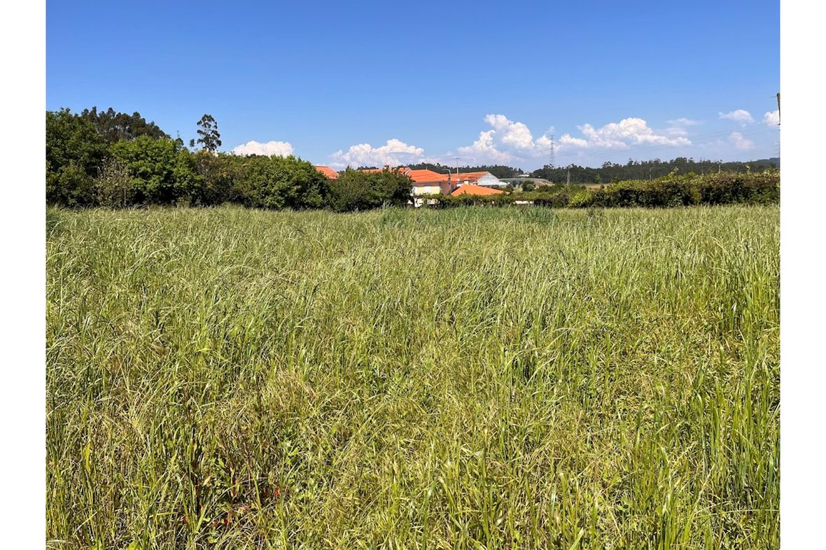 Balazar/Povoa de Varzim Largo Júlio de MatosOporto