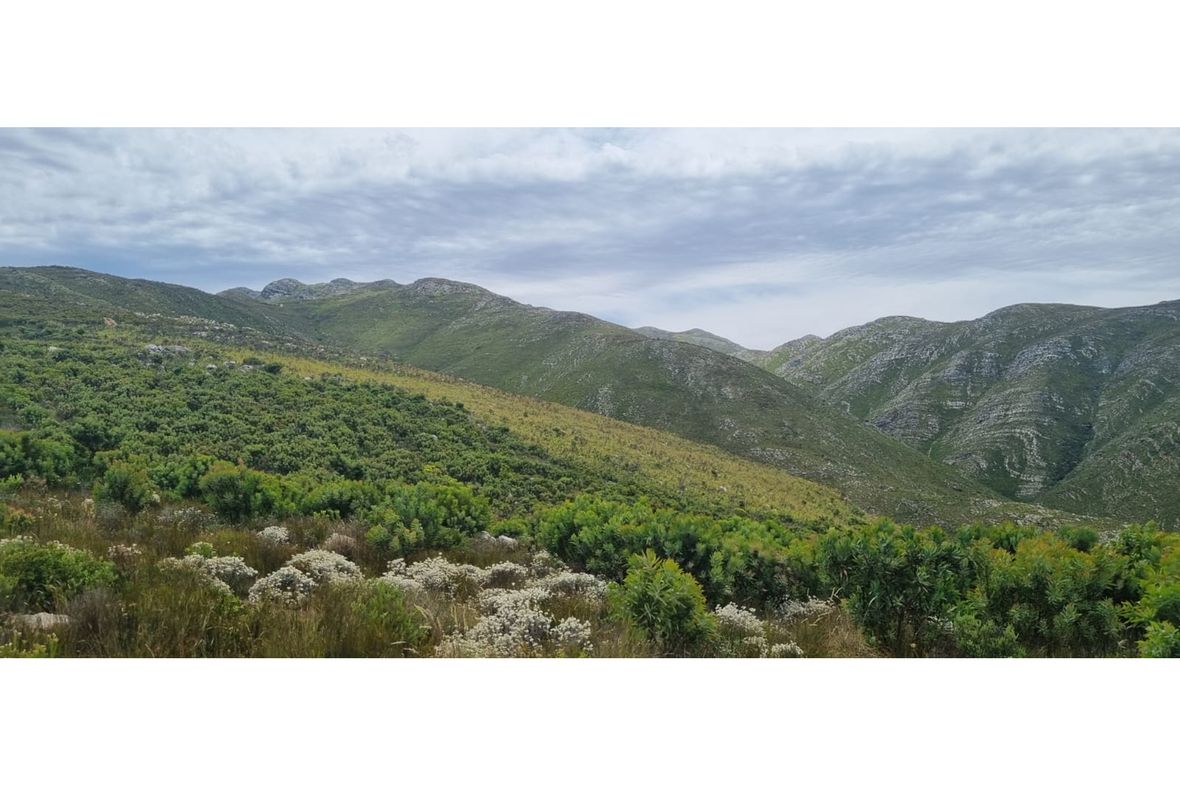 Uniondale Rural, South Africa