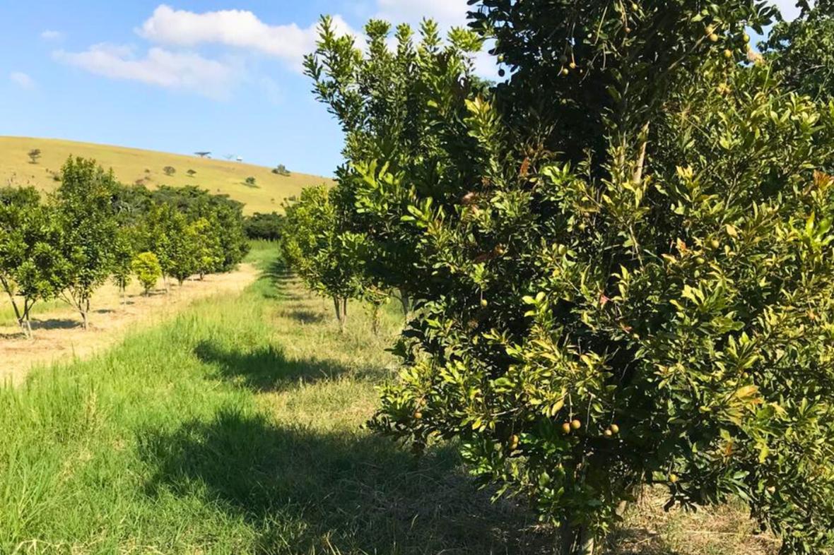 Vryheid/Vryheid Rural/KwaZulu Natal