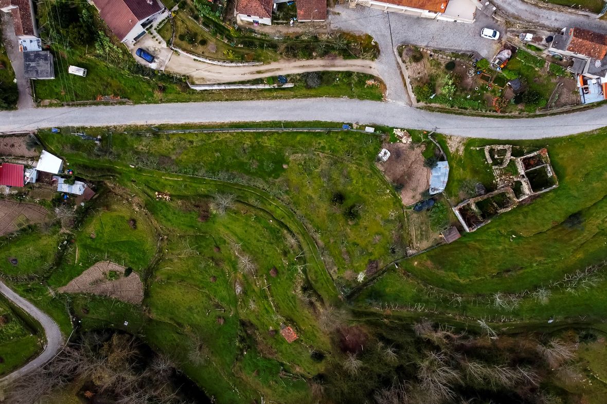 Grilo/Baiao Oporto