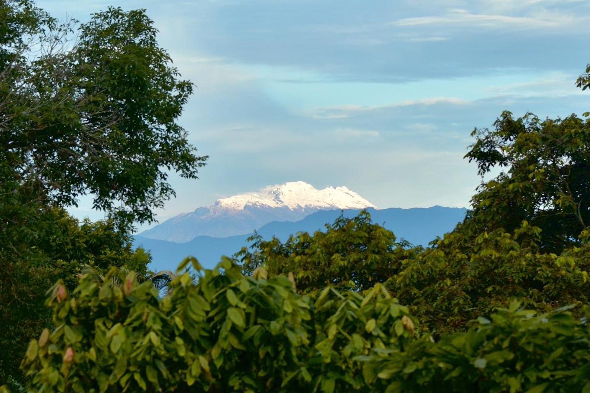 Gigante, Colombia