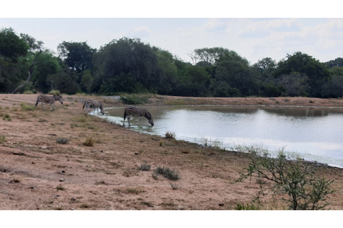 Hoedspruit Moditlo Wildlife Estate, Limpopo