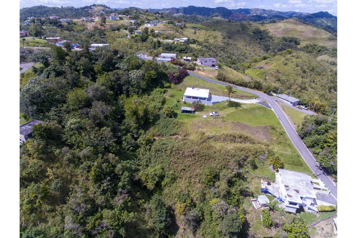 Pulguillas Ward, Puerto Rico