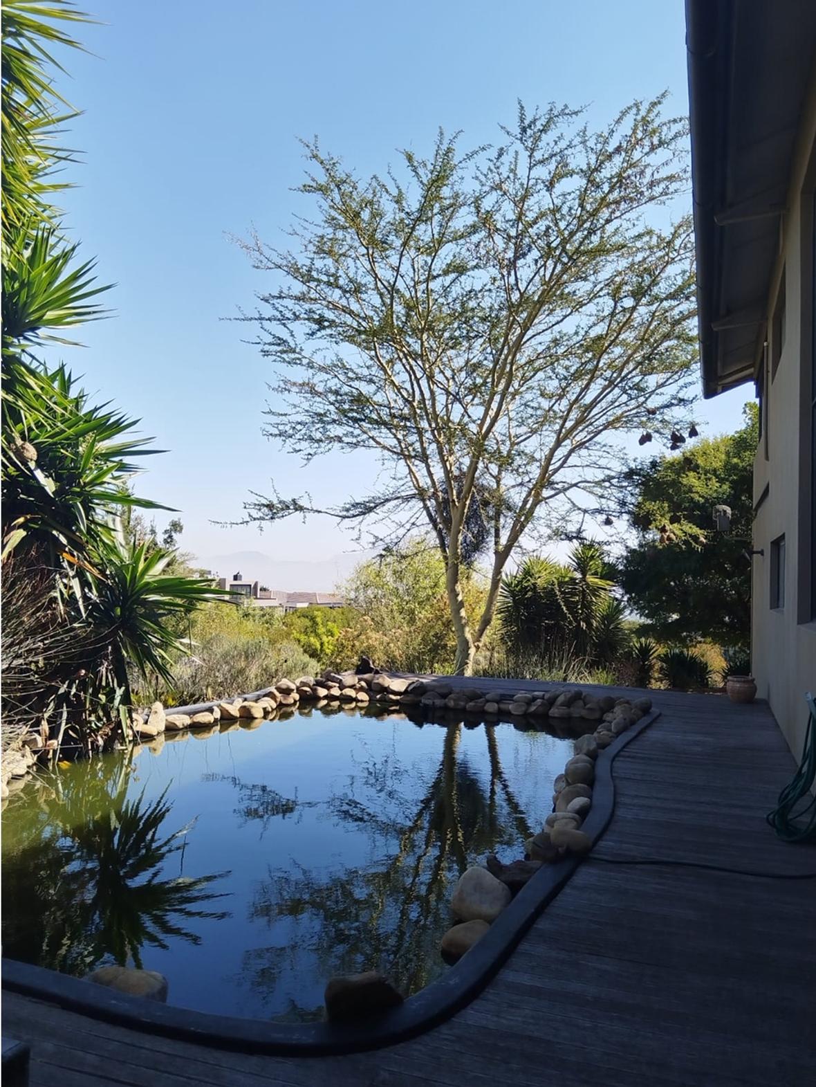 Parow/Baronetcy Estate/Western Cape