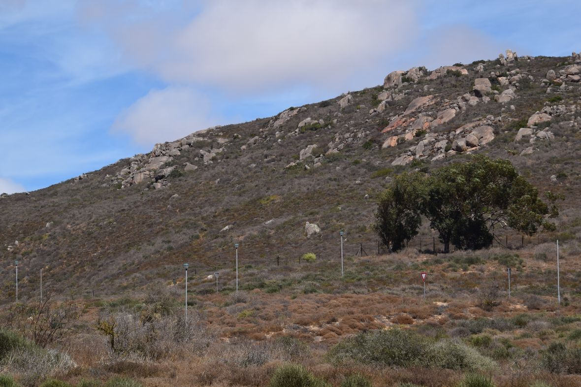 Property in St Helena Views